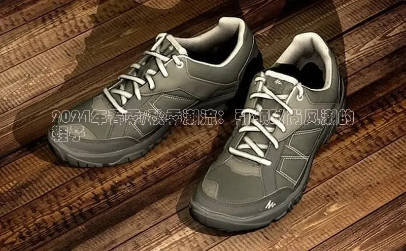 意昂2登录地址雷柏科技2024年春季/秋季潮流：引领时尚风潮的
鞋子