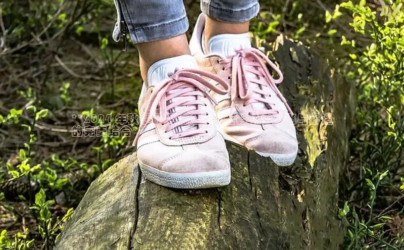 意昂2登录地址雷柏科技**2024 年秋季最受欢迎的男士鞋子：时尚与舒适
的完美结合**