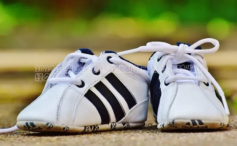 意昂2账号登录入口百度教育2024 年男士全季新款运动鞋：舒适、时尚且
经久耐穿