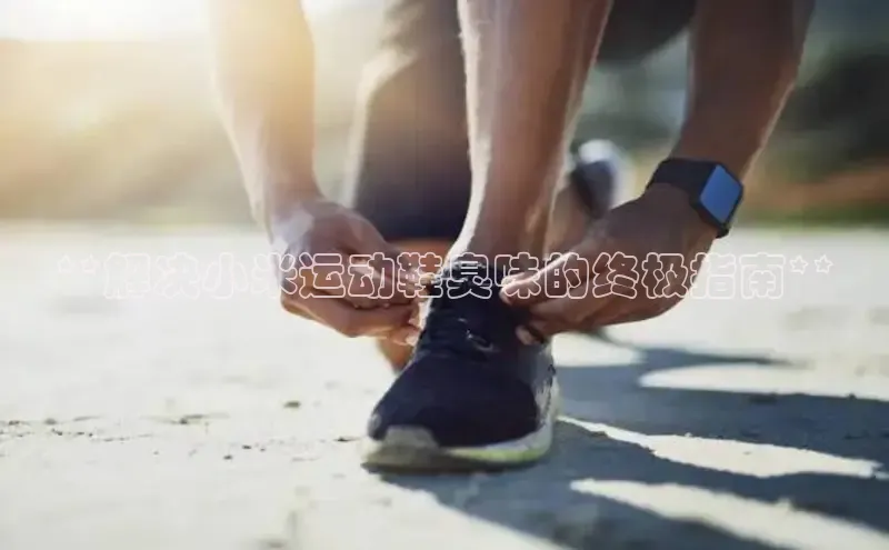 意昂2登录百度智能门户**解决小米运动鞋臭味的终极指南**