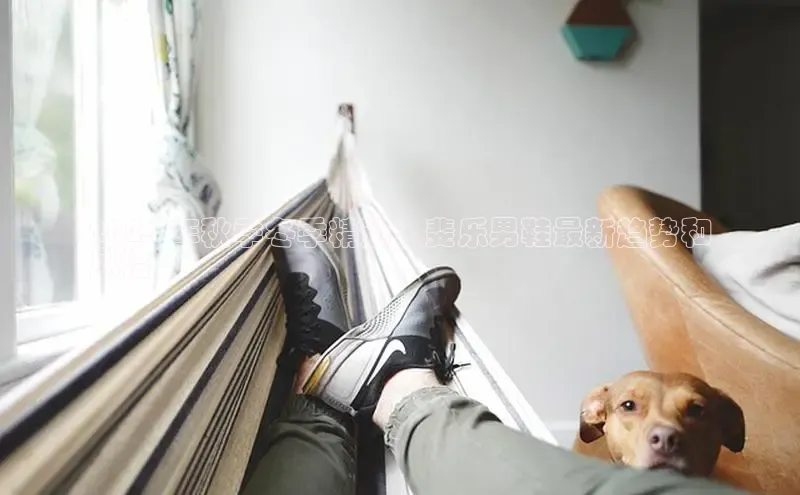 意昂2官网宇信科技2024 年秋季冬季精选：斐乐男鞋最新趋势和
风格