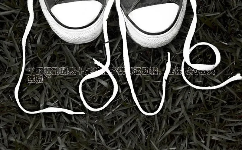 意昂2注册百度技术学院**超狂酷动感十足的鞋子模特运动鞋，让你成为街头
焦点**