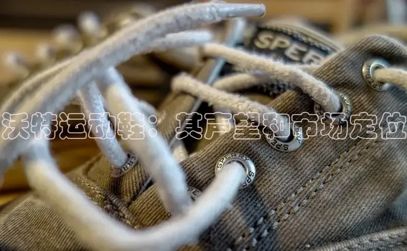 意昂2登录入口百度游戏开放平台沃特运动鞋：其声望和市场定位