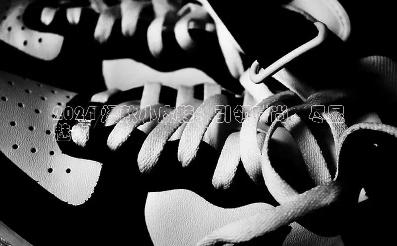 意昂2登录百度网盘2024 爆款小皮鞋：引领时尚，尽显
魅力