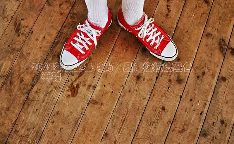 意昂2招商百度 H52024年度必备时尚單品：梅拉德黑色網
紅潮鞋