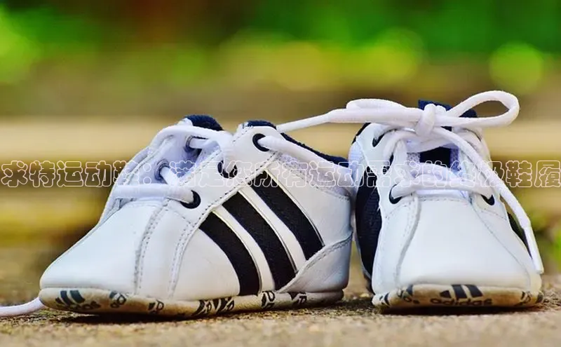 意昂2登录入口58同城求特运动鞋：满足您所有运动需求的终极鞋履