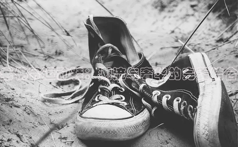 意昂2登录地址百度人工翻译老佛爷运动鞋：潮流与奢华的完美结合