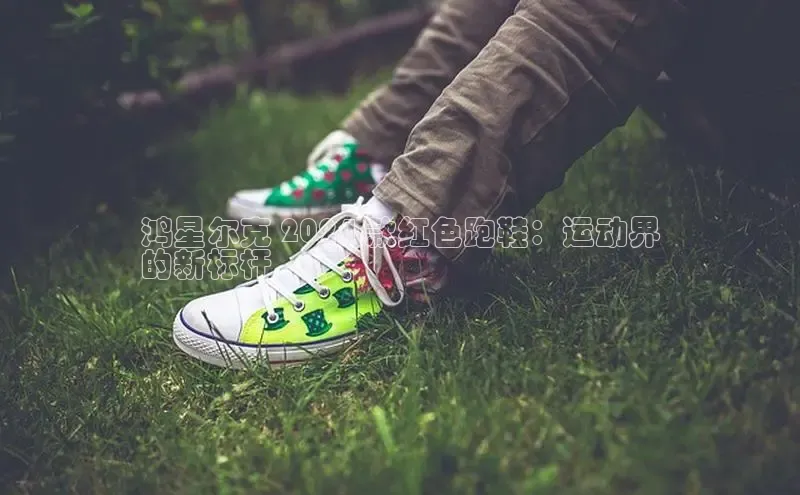 意昂2登录地址梯哥哥科技鸿星尔克 2024 款红色跑鞋：运动界
的新标杆