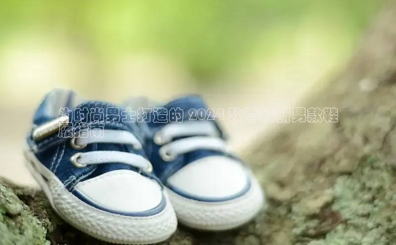 意昂2官网文心一言为时尚男士打造的 2024 秋季最新男款鞋
履指南