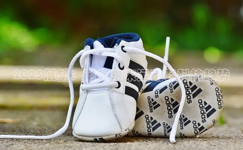 2025展望：耐克未来运动鞋科技趋势