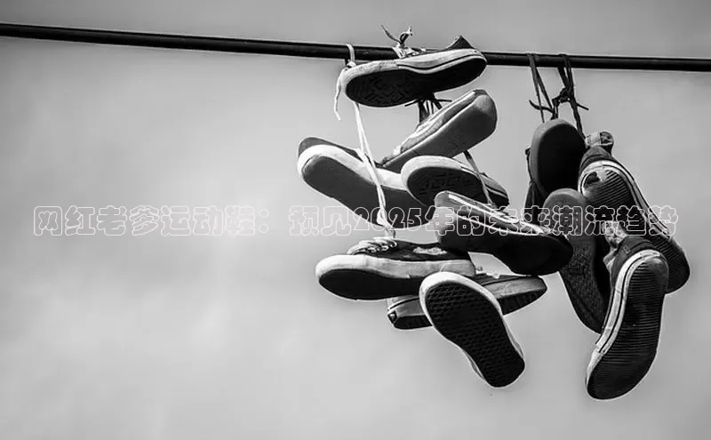 网红老爹运动鞋：预见2025年的未来潮流趋势