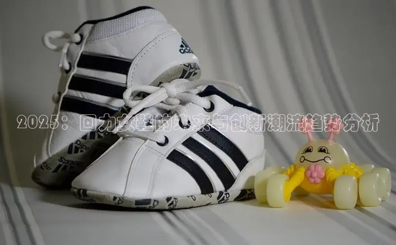 2025：回力女鞋的未来与创新潮流趋势分析
